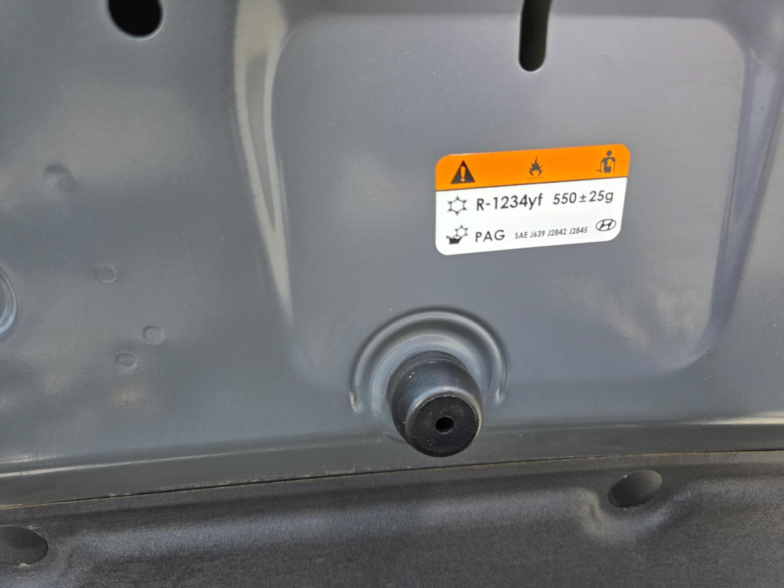 Odometer, scanner report and vehicle identification photo slot 1